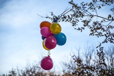 Low angle view of balloons against blue sky