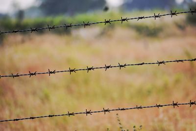 Barbed wire fence against blurred background