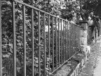 Footbridge over river