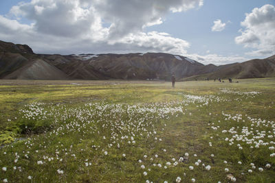 Scenic view of field against cloudy sky