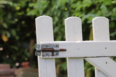 Close-up of wooden fence against blurred background