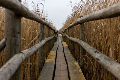 Wooden footbridge on footpath amidst trees against sky