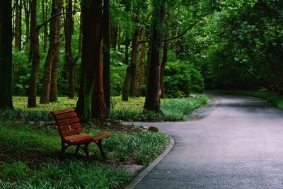 Empty bench in park