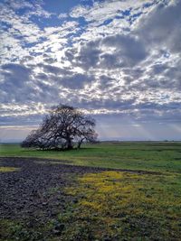 Scenic view of grassy field against cloudy sky