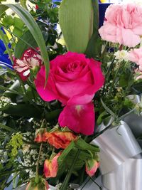 Close-up of pink rose bouquet