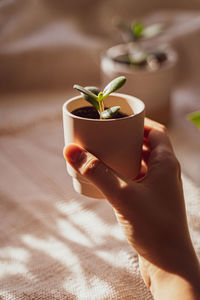 Midsection of person holding ice cream in potted plant