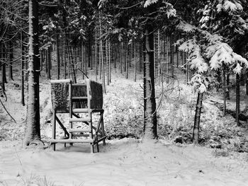 View of trees on snow covered field