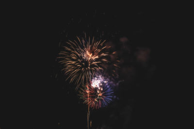 Low angle view of firework display at night