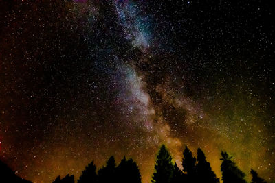 Low angle view of silhouette trees against sky at night