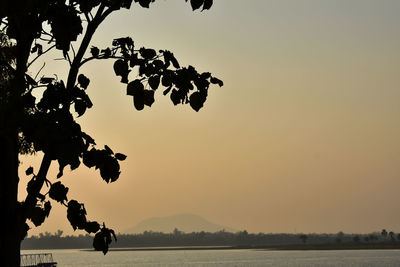 Silhouette tree by lake against sky during sunset