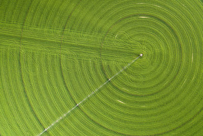 Green crop circles grow in a remove nevada desert