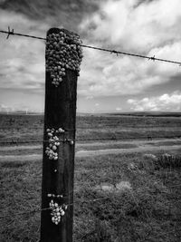 Wooden fence on field against sky