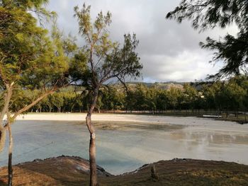 Scenic view of trees by lake against sky