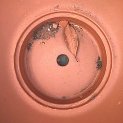 High angle view of ring in container