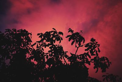 Low angle view of silhouette trees against sky at sunset