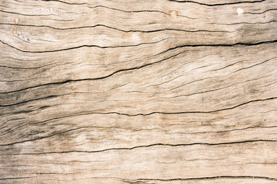 Full frame shot of cracked wood