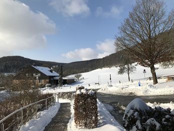 Snow covered houses by trees against sky