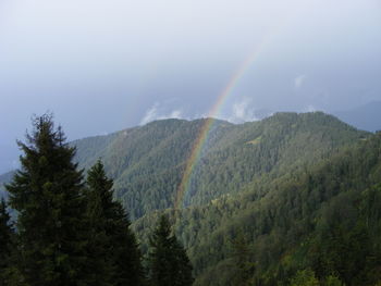Scenic view of rainbow against sky