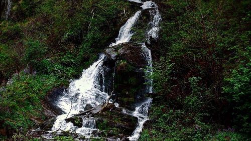 Scenic view of waterfall in forest