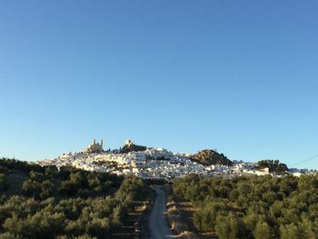 Panoramic view of trees against clear blue sky