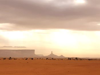Scenic view of desert against sky during sunset