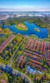 High angle view of buildings and trees in city