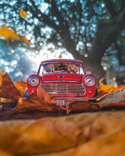 Close-up of old vintage car