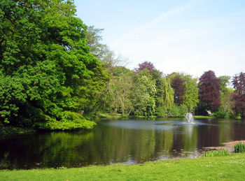 Scenic view of lake in forest against sky