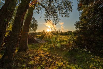 Scenic view of trees against sky during sunset