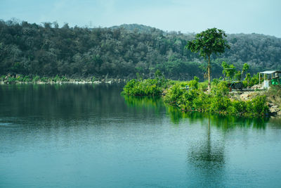 Scenic view of lake by trees against sky
