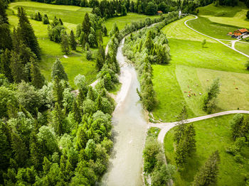 High angle view of road amidst trees