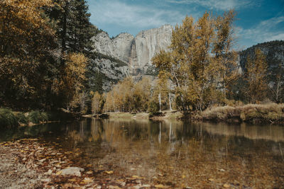 Scenic view of lake by trees in forest