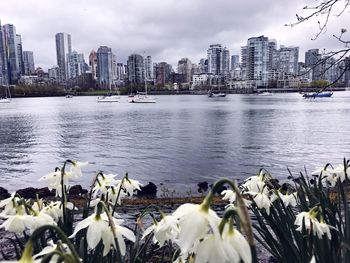 Panoramic view of river and buildings against sky