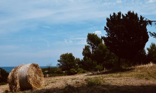 Hay bales on field against sky