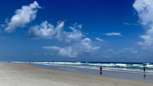 Scenic view of beach against blue sky
