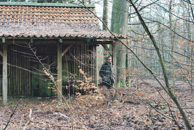 Bare trees by house in forest