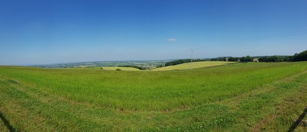 Scenic view of field against clear sky