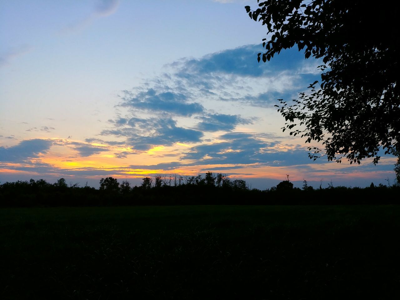 SILHOUETTE TREES ON FIELD AGAINST SKY DURING SUNSET