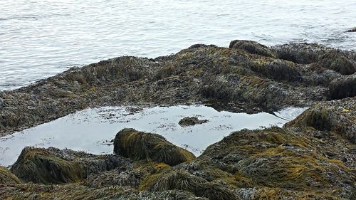 Rocks in sea