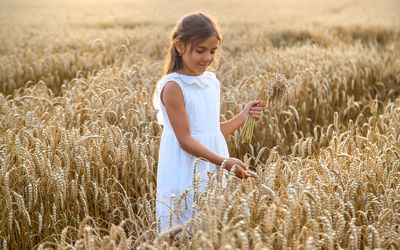 Cute girl holding wheat stand in at farm