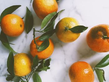 Close-up of oranges on table