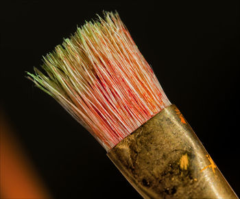 Close-up of paintbrush