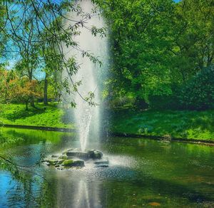 Scenic view of waterfall in forest