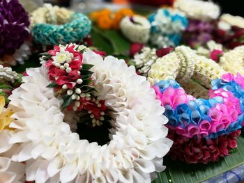 Close-up of multi colored flowers