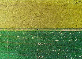 Full frame shot of wall