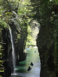 Scenic view of waterfall in forest