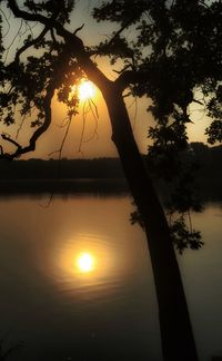 Silhouette tree by lake against sky during sunset