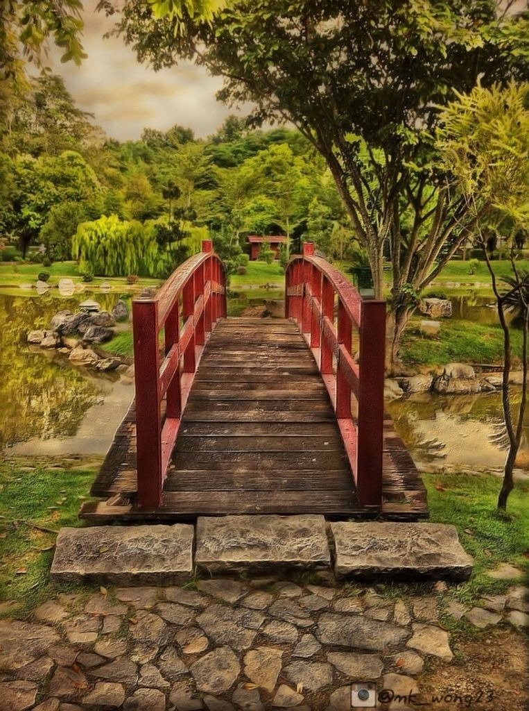 tree, the way forward, sky, tranquility, nature, day, plant, growth, red, empty, tranquil scene, absence, no people, grass, outdoors, built structure, footpath, beauty in nature, railing, wood - material