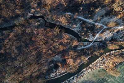 Aerial view of colorful forest trees, nature background