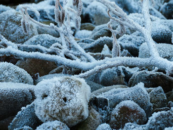 Close-up of snow on rocks during winter